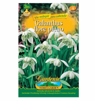 Sněženka plnokvětá (Galanthus flore pleno) 3ks