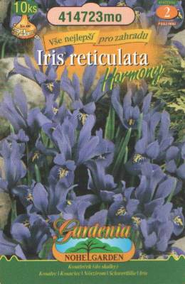 Kosatec (do skalky) Iris reticulata Harmony /10ks