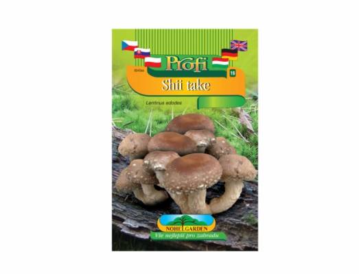 Lentinus edodes  (shii take)