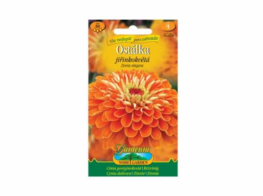 Ostálka jiřinkokvětá (Zinnia elegans)