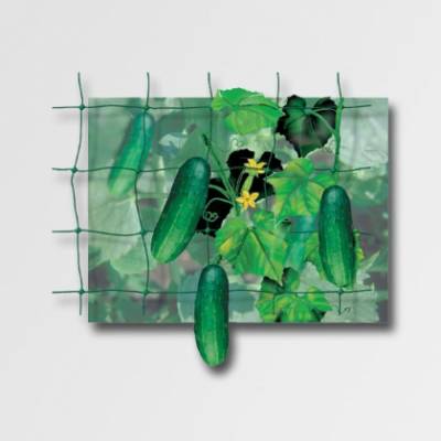 Podpůrná síť 10x10cm Pr 1,2x20m