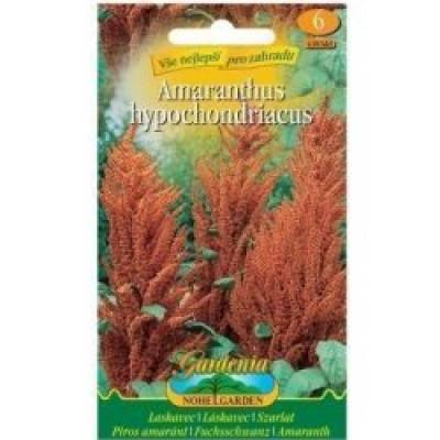 Amaranthus hypochondriacus (laskavec)