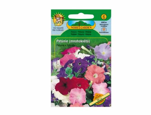 Petúnie mnohokvětá (Petunia hybrida)