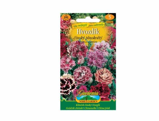 Hvozdík čínský plnokvětý (Dianthus chinensis)