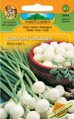 Cibule jarní bílá POMPEI (lahůdková) 0375cc