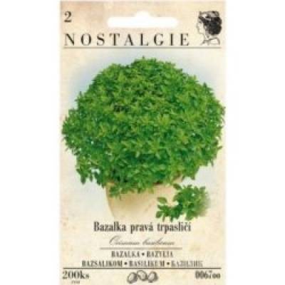 Bazalka trpasličí/L/