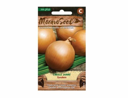 Cibule jarní Tandem