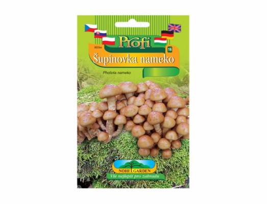 Šupinovka nameko