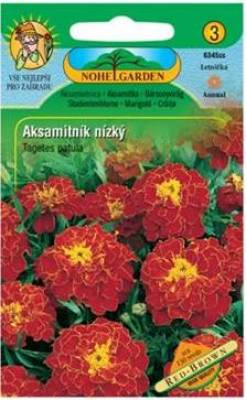 Aksamitník nízký - Tagetes patula