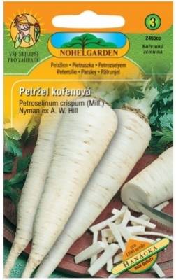 Petržel kořenová HANÁCKÁ