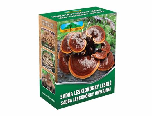 Lesklokorka lesklá 250ml
