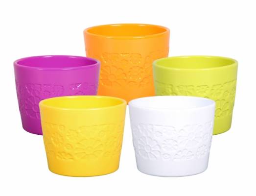 Obal Primule Sparta Flower d11cm/lesk