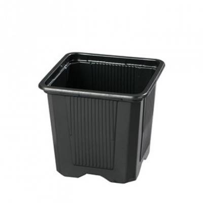 Sadbový květináč 8x8x7h 15ks