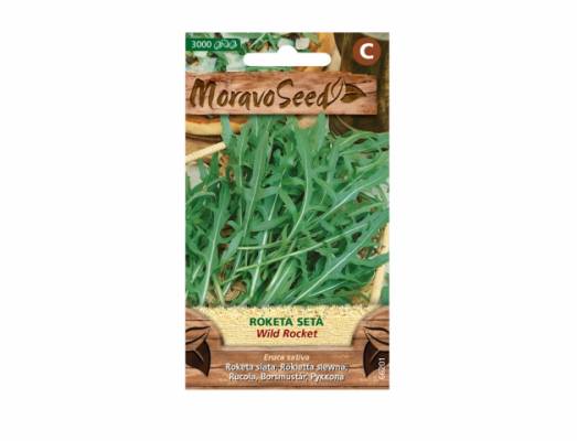 Roketa setá WILD ROCKET