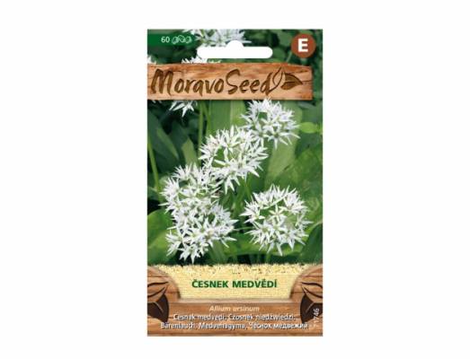 Allium ursinum /česnek medvědí/