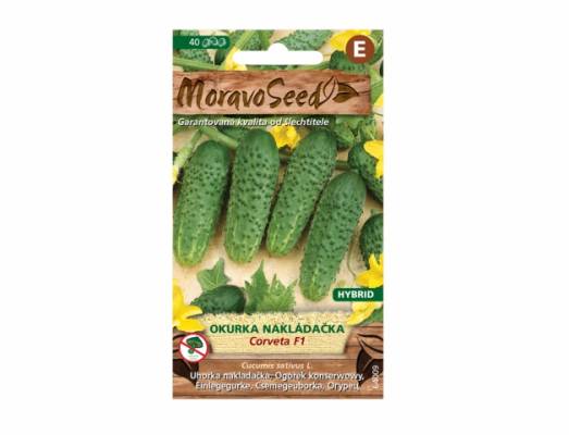 Okurka nakládačka. CORVETA F1