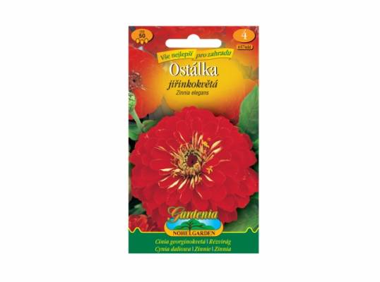 Zinnia el/ostál.Jiř/če