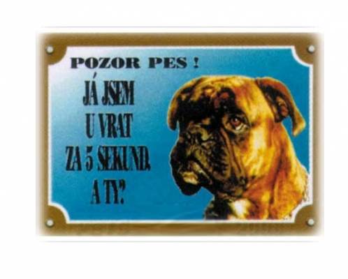 Cedulka-BOXER