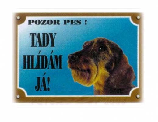 Cedulka-JEZEVČÍK hrubosrstý