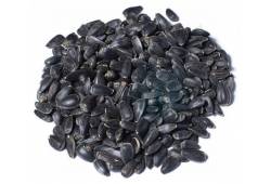 Slunečnice černá  1kg
