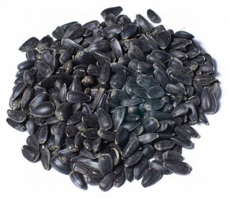 Slunečnice černá  1kg