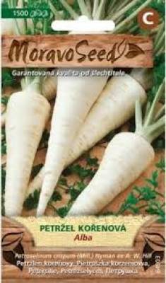 Petržel kořenová Konika