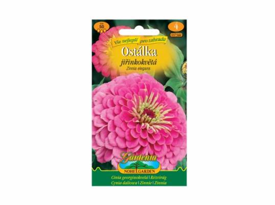 Ostálka jiřinkokvětá (Zinnia elegans)