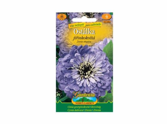 Zinnia el/ostál.Jiř/fi