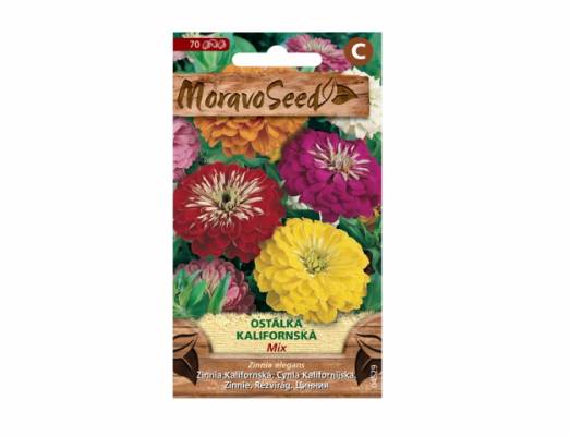 Ostálka Kalifornská Mix