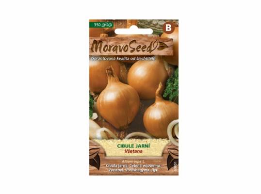 Cibule jarní žlutá VŠETANA