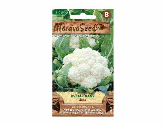 Květák raný, BETA