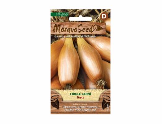 Cibule jarní - Tosca žlutá