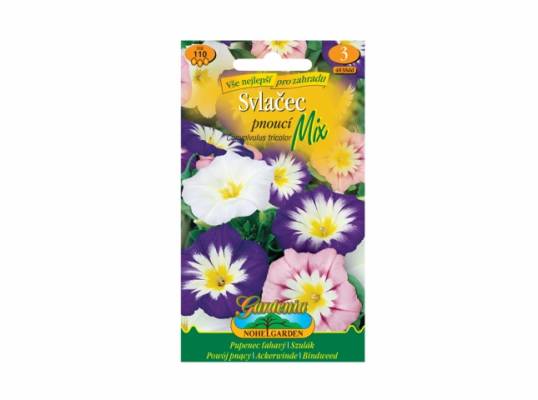 Svlačec pnoucí mix (Convolvulus tricolor) 