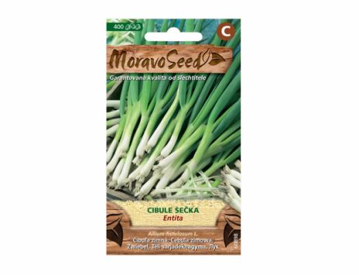 Cibule zimní ENTITA sečka