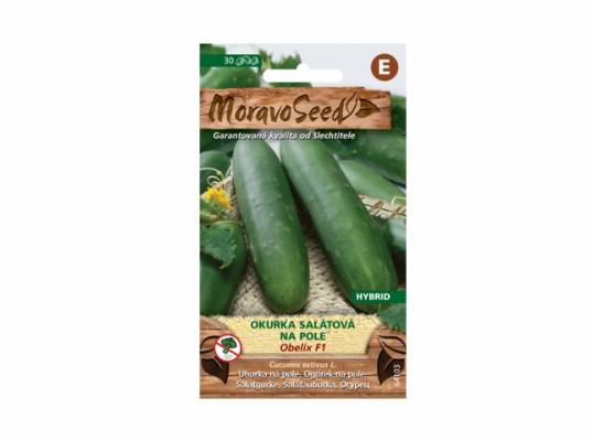 Okurka salátová - OBELIX F1