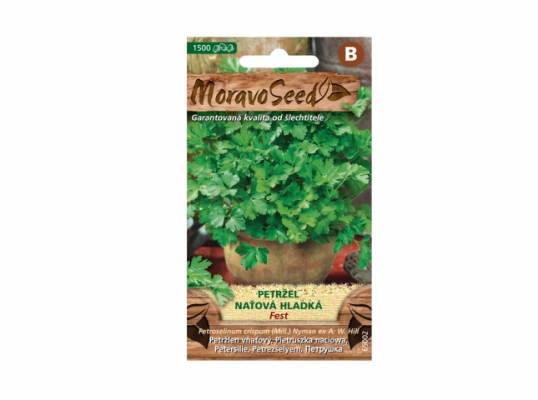 Petržel naťová hladká Fest