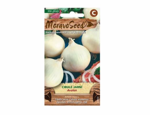 Cibule jarní, bílá,  AVALON