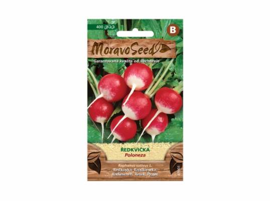 Ředkvička červenobílá POLONEZA