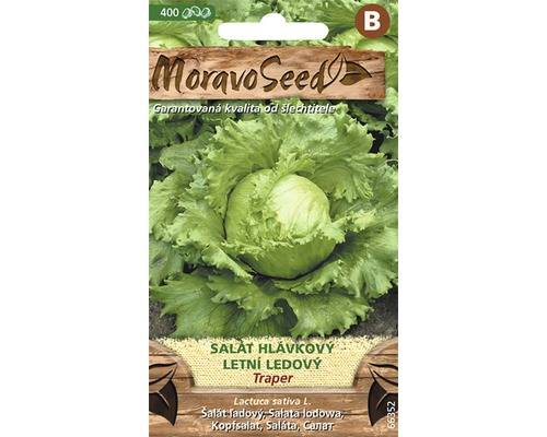 Salát hlávkový ledový TRAPER /celoroční/