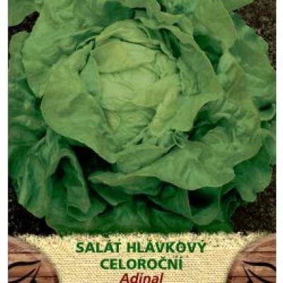 Salát hlávkový ADINAL (celoroční)