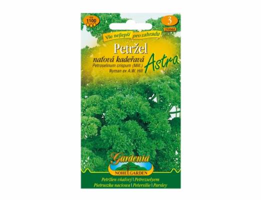 Petržel naťová ASTRA