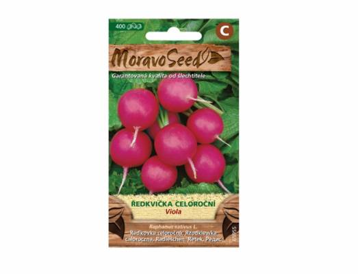 Ředkvička fialová VIOLA kulatá