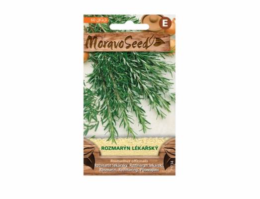 Rozmarýn lékařský