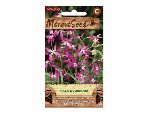 Matthiola bic./fiala dvourohá/fi