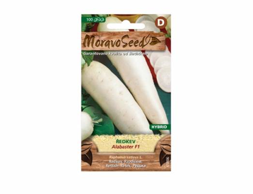 Ředkev bílá ALABASTER F1