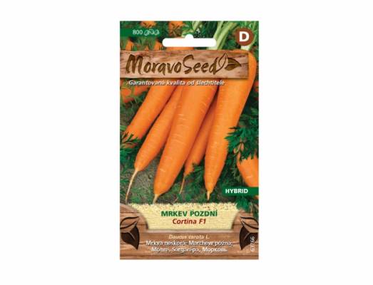 Mrkev pozdní CORTINA F1