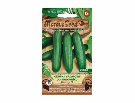 Okurka salátová - TWENTY F1