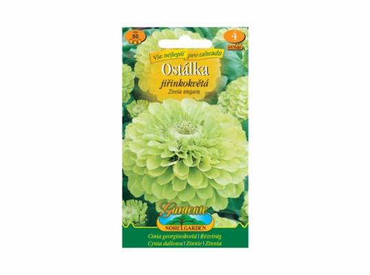Zinnia el/ostál.Jiř/ze