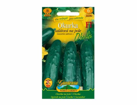 Okurka salátová na pole OBELIX F1