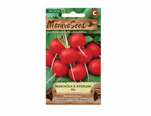 Ředkvička k rychlení Ria